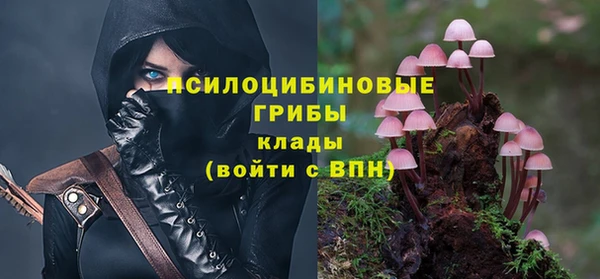 герыч Зеленодольск
